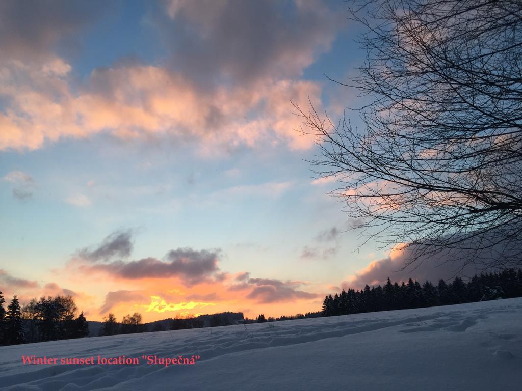 Apartman Martin Lipno nad Vltavou Luaran gambar